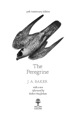 J.A. Baker - The Peregrine