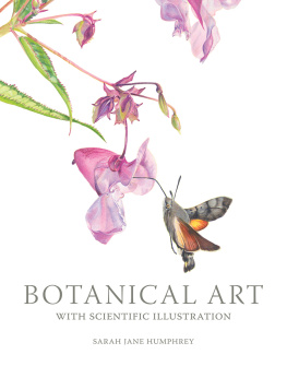 Sarah Jane Humphrey - Botanical Art with Scientific Illustration