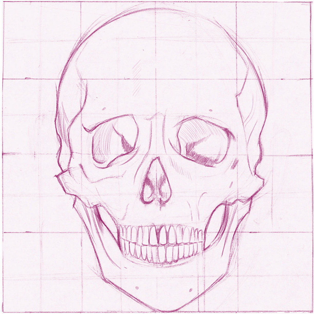 Study a diagram of the human skull online or in an anatomy book Then make your - photo 11