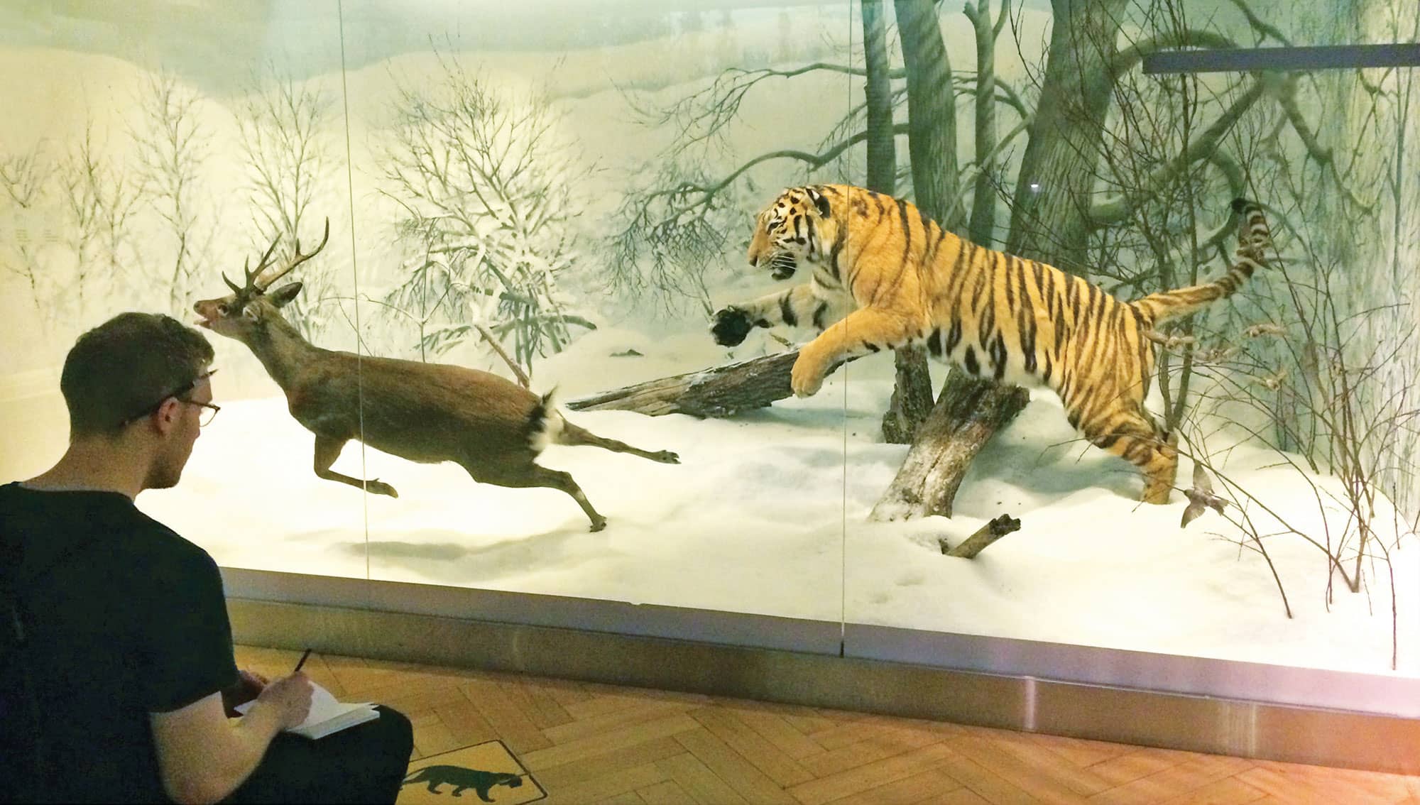 HARRY SKETCHING AT THE HELSINKI NATURAL HISTORY MUSEUM IN HELSINKI FINLAND - photo 4