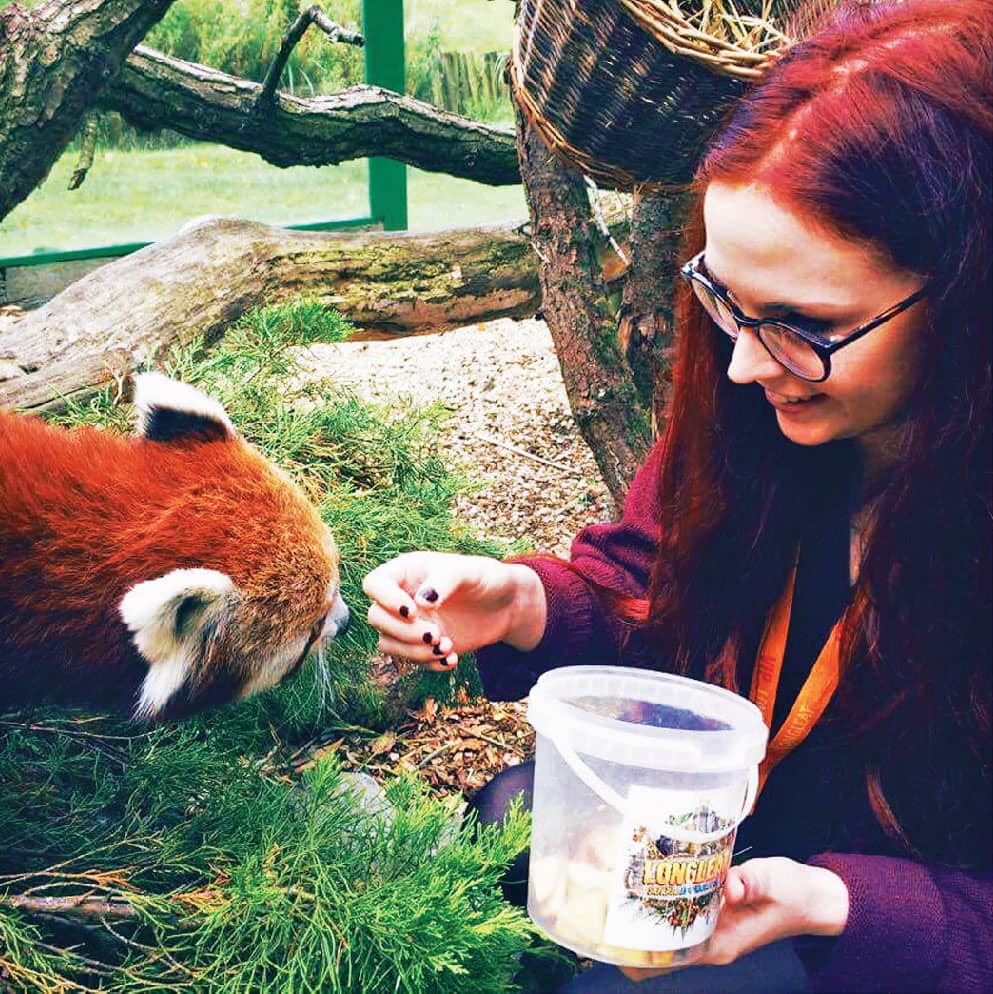 ZANNA MEETING A RED PANDA AT LONGLEAT SAFARI PARK IN WILTSHIRE UK TOOLS - photo 5