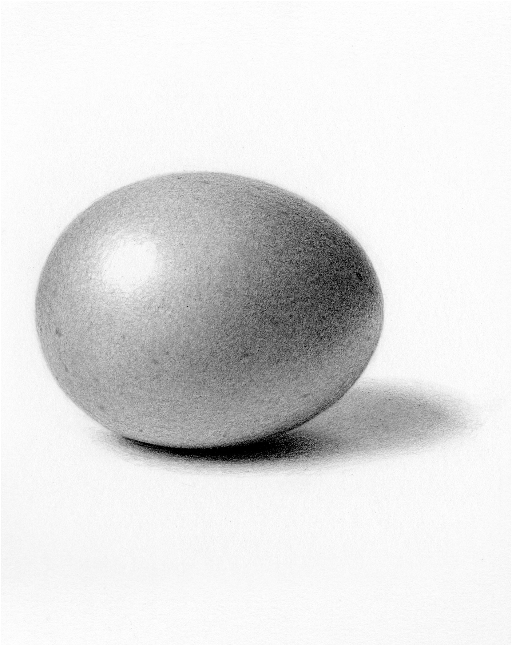 Lets start with a lesson thats all about shading A brown egg is an ideal - photo 2