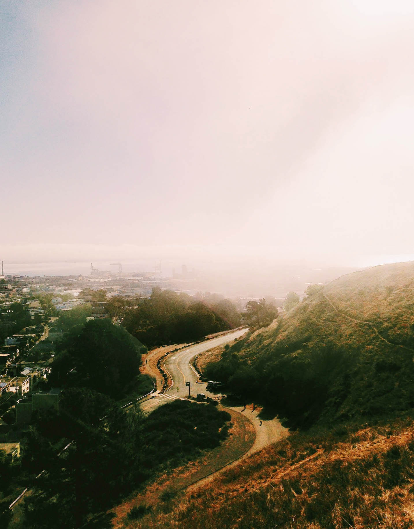 I spend countless San Francisco mornings in Bernal Heights I love hiking with - photo 11