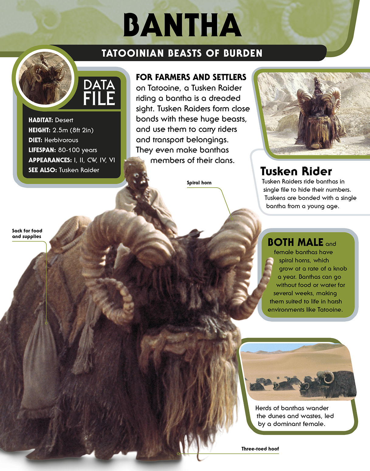 Star Wars Character Encyclopedia - photo 23