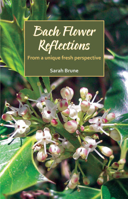 Brune - Bach Flower Reflections: From a unique fresh perspective