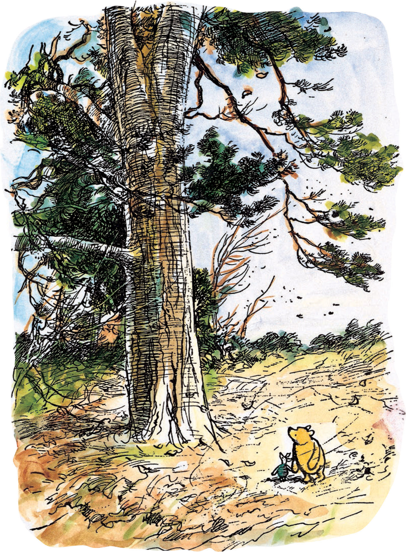 The Natural World of Winnie-the-Pooh A Walk Through the Forest that Inspired the Hundred Acre Wood - image 4