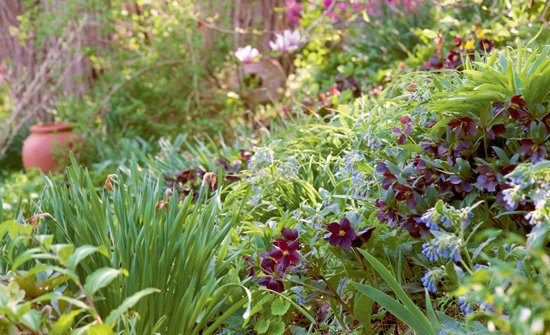 A spring view of the hillside mixed border The LAYERED GARDEN DESIGN LESSONS - photo 1