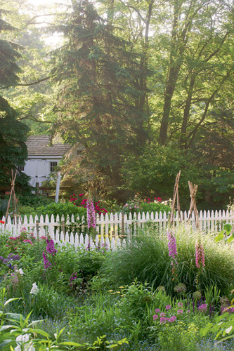 A bright May morning lights up the borders around the picket-fenced vegetable - photo 4