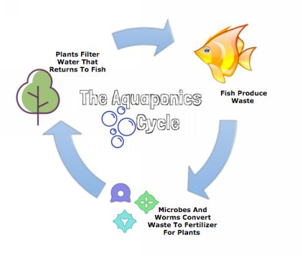 This growing method is environmentally-friendly natural and economical Using - photo 2