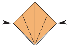 Repeat step 6 Lift the top and bottom flaps up Fold the lower - photo 24