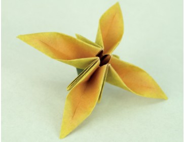 Begin with the Basic Flower Form page Fold and then unfold the left edge of - photo 13