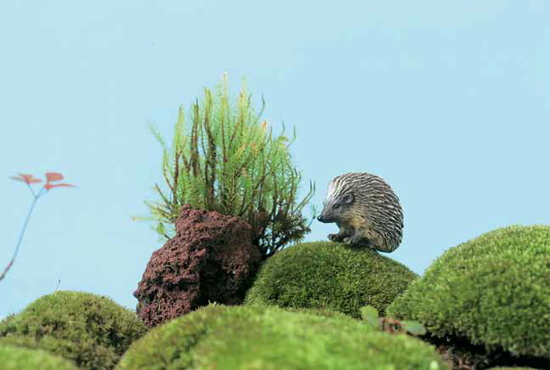 Miniature Moss Gardens Create Your Own Japanese Container Gardens Bonsai Kokedama Terrariums Dish Gardens - photo 4