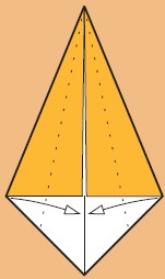 Fold to the center on the 2 lines Fold in half towards you on line 3 - photo 30