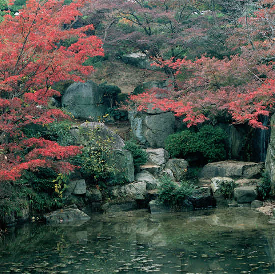 Saihoji temple the Moss Temple Kyoto Chapter 1 Principles of - photo 1