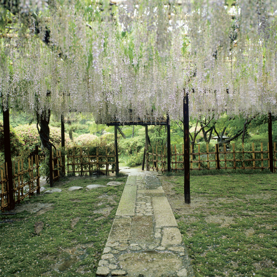 Moroto family garden Mie It has been said that stones arranged by man can - photo 8