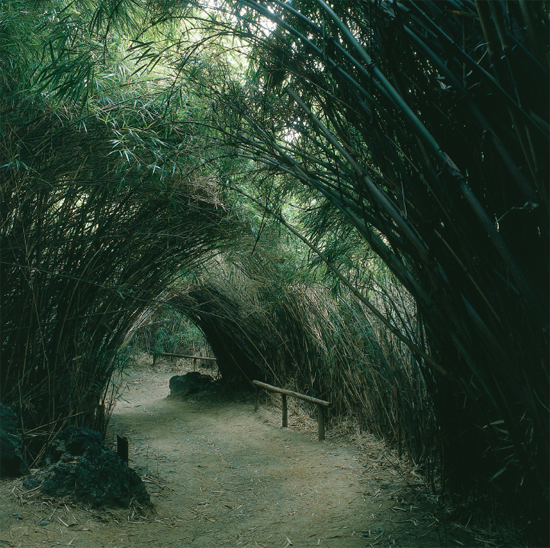 Sankeien garden Kanagawa Think of the finest natural landscapes you have - photo 9