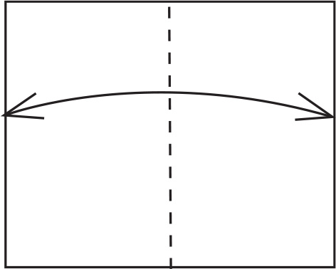 Fold in half short edge to short edge Unfold Fold the two short edges to - photo 15