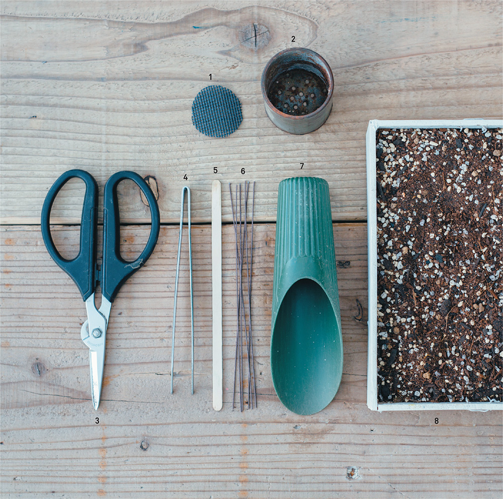 Basic Methods for Planting 1 Prepare the Container Find a container youd - photo 11