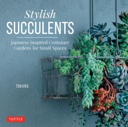 Yoshinobu Kondo - Stylish Succulents: Japanese Inspired Container Gardens for Small Spaces