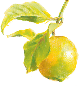 Oil paint can be used in any consistency For this lemon the dark colours were - photo 5