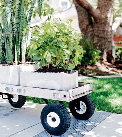 Large Concrete Planters That is what I hope this book becomes for you A - photo 9