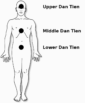 The Lower Dan Tien is located about 2-3 inches below the umbilicus and at the - photo 1