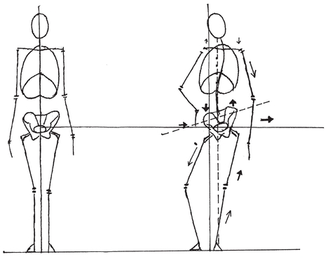 The Bones These diagrams show what happens when the weight of the body is - photo 5