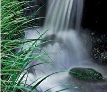 Grasses glisten with waterfall spray at Sambo-in Wild yet containeda boat - photo 9