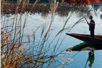 Wild yet containeda boat glides past a thicket of pampas grass on Osawa Pond - photo 10