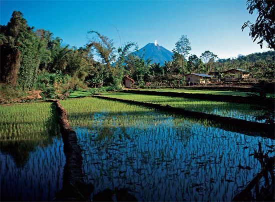 Towering above numerous other volcanoes stretched across Bali Mount Agung is - photo 11