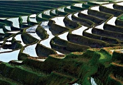 Methods used by the Balinese such as sculptured terraces along volcanic slopes - photo 12