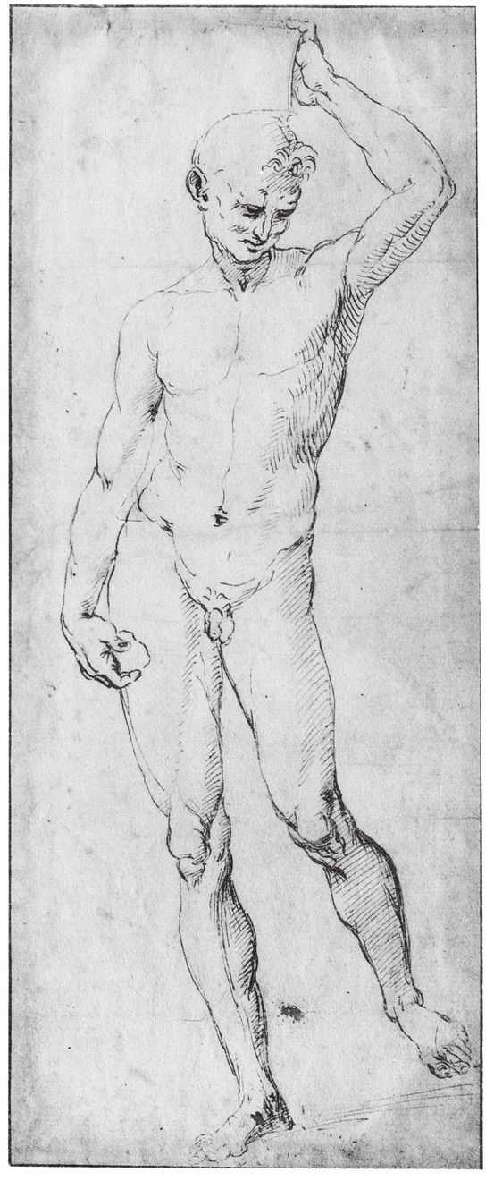 Raphael Raffaello Sanzio 14831520 Nude study of a man holding a vase on his - photo 20