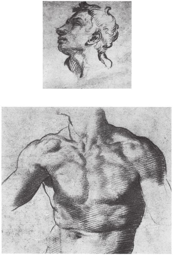 Rosso Fiorentino Giambattista Rossi 14941541 Study for a male torso a head - photo 23