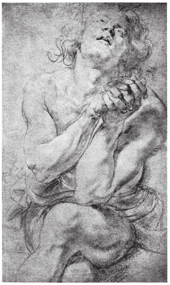 Peter Paul Rubens 15771640 A study for Daniel in the Lions Den National - photo 24