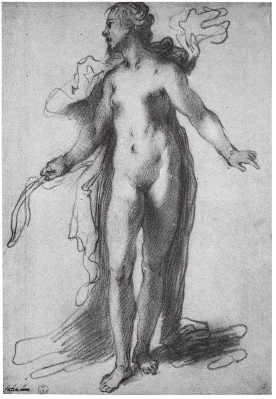 Ventura Salimbeni 15681613 Female nude Sanguine 330 230 mm Uffizi - photo 25