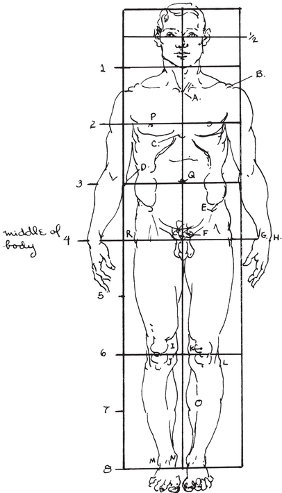 Front view male figure eight heads high Front view female figure - photo 5