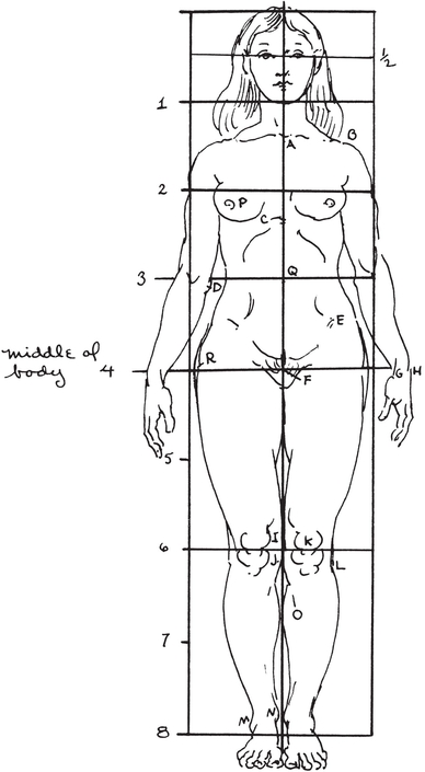 Front view female figure eight heads high For key to figures see page 12 - photo 6