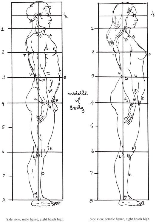 Proportions at various ages Convenient measurements - photo 8