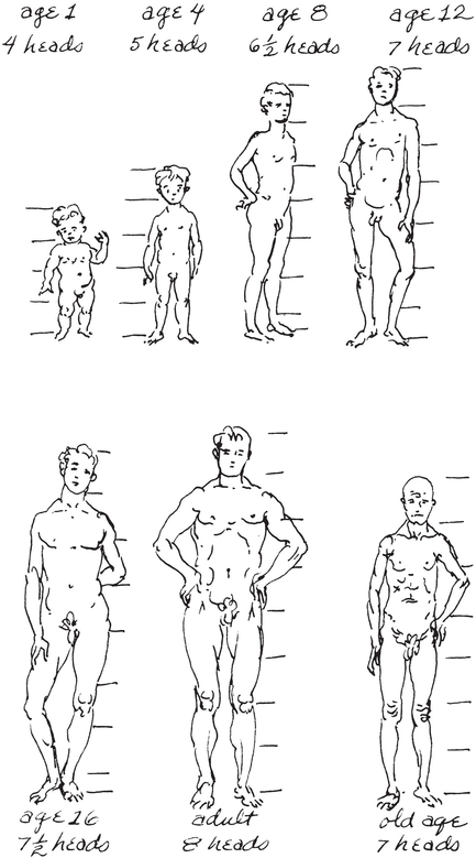 Proportions at various ages Convenient measurements - photo 9