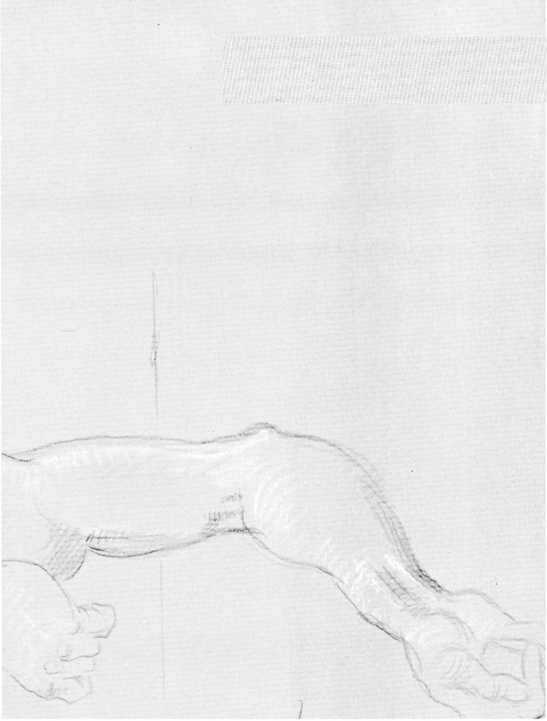 2 THE ARM SCHEMATIC DRAWINGS Front View of Arm Palm Out Supination - photo 12