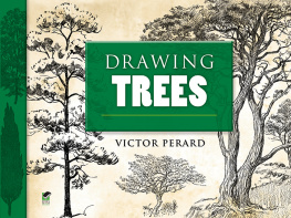 Victor Perard - Drawing Trees