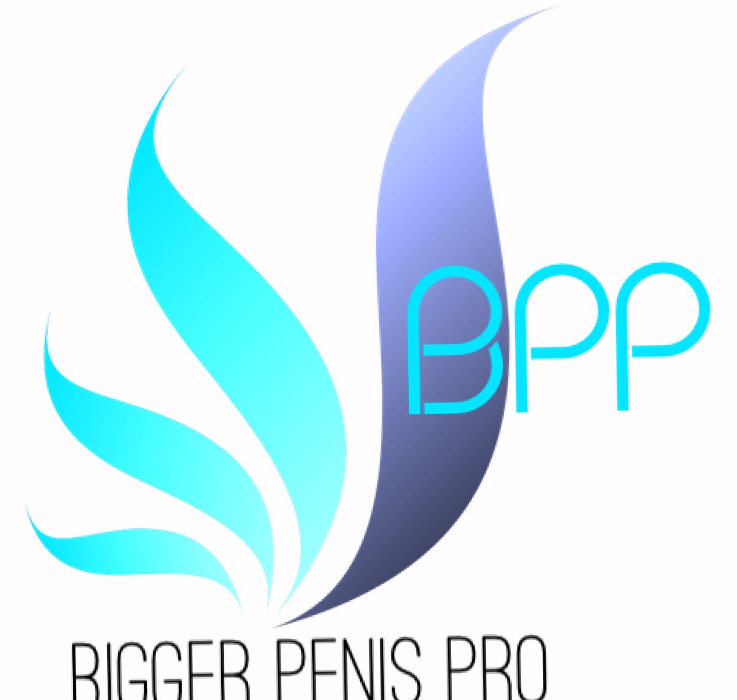 WHY I STARTED BIGGER PENIS PRO Maybe you think I started the Bigger Penis Pro - photo 1