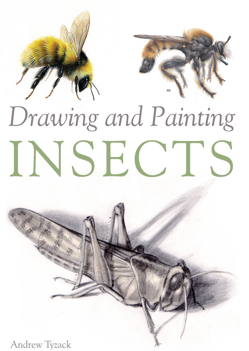 Drawing and Painting Insects - image 1