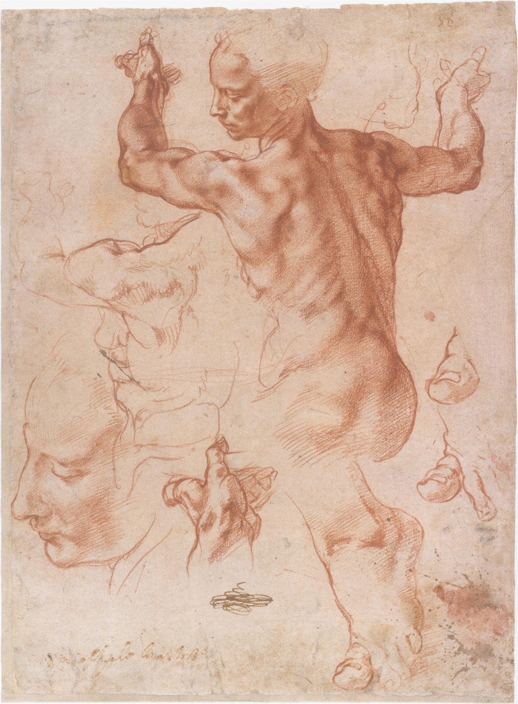 Michelangelo Buonarotti Studies for the Libyan Sibyl 15081512 red chalk on - photo 2
