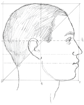 In profile the head fills a square shape with the ear just behind the halfway - photo 19
