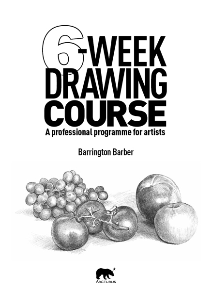 6-Week Drawing Course A Professional Programme for Artists - image 2