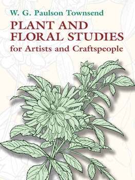 W. G. Paulson Townsend Plant and Floral Studies for Artists and Craftspeople