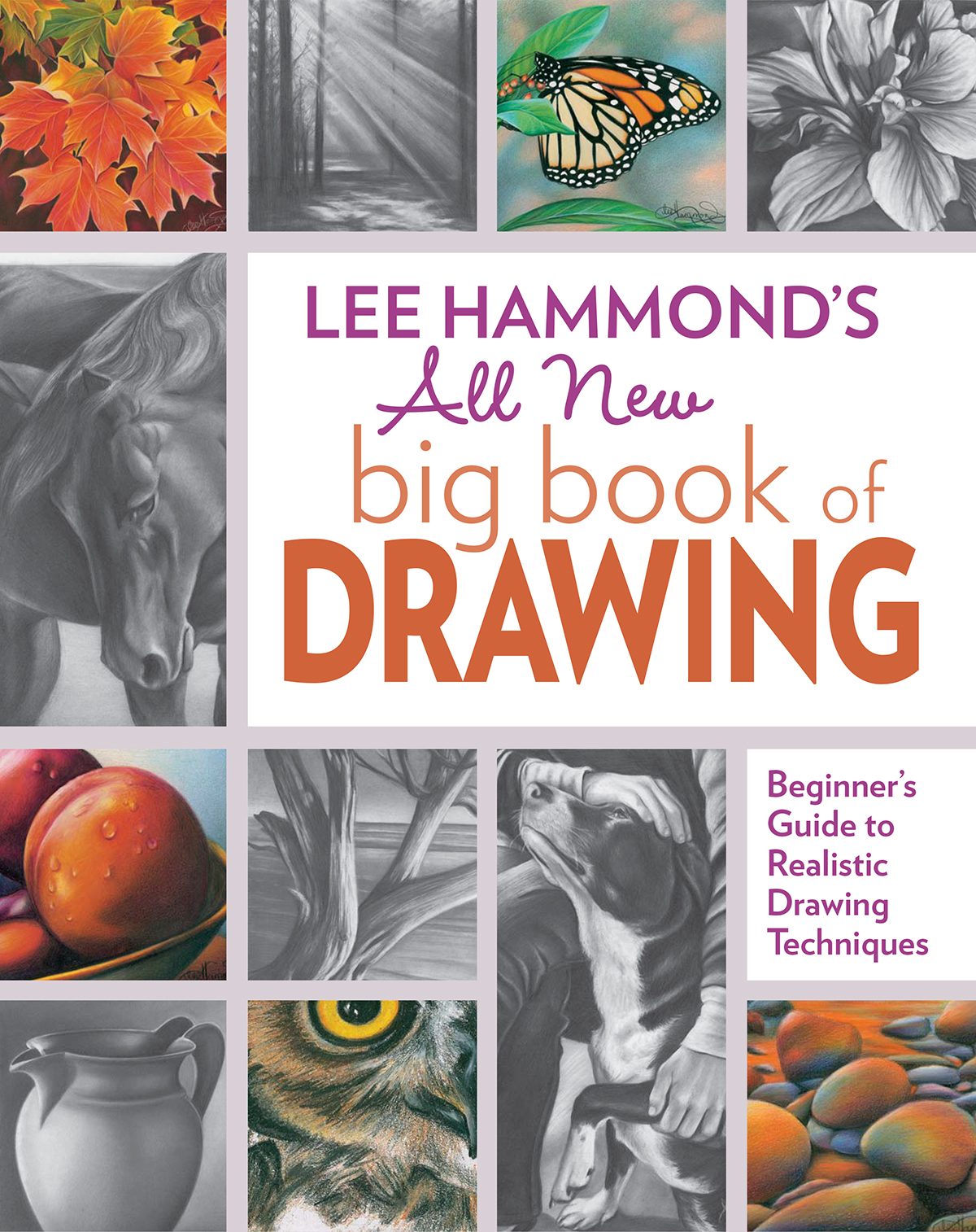 LEE HAMMONDS All New Big Book of - photo 1