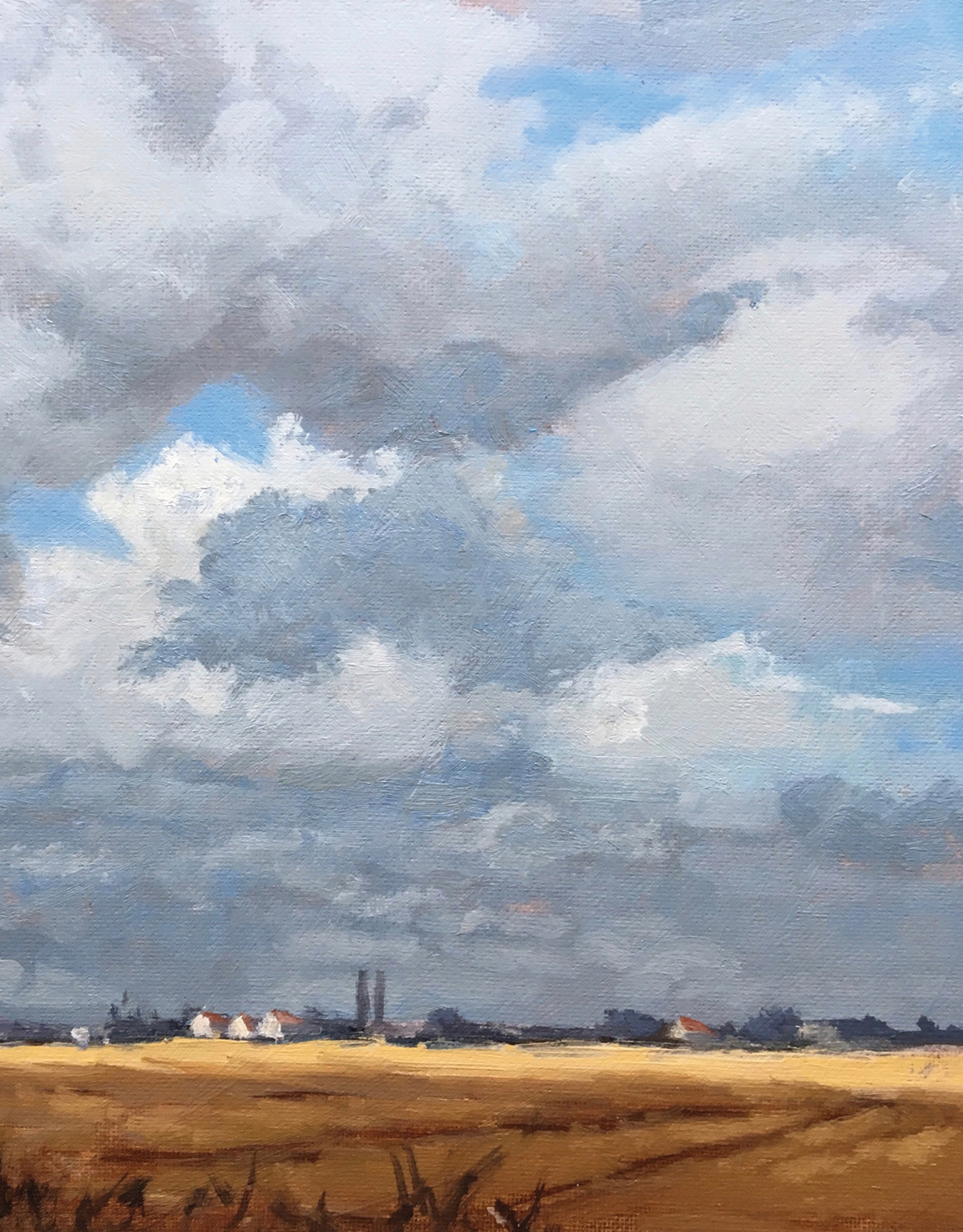 Painting Clouds and Skies in Oils - image 1