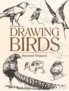 Raymond Sheppard - Drawing Birds